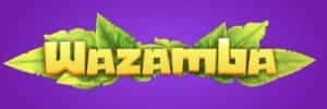 Blaze crash
